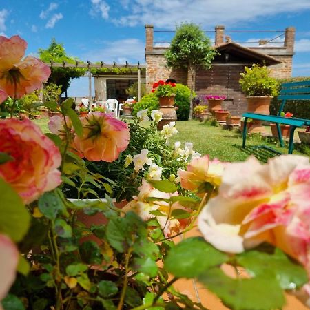 Bellavista la tua romantica vacanza sul Trasimeno Castiglione del Lago Esterno foto