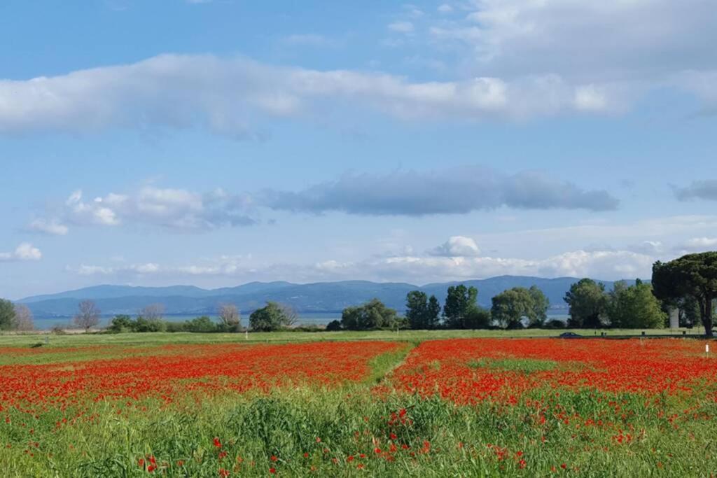 Bellavista la tua romantica vacanza sul Trasimeno Castiglione del Lago Esterno foto