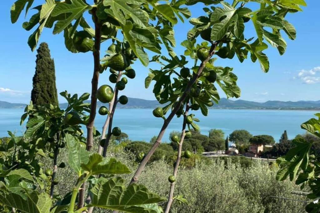 Appartamento Bellavista la tua romantica vacanza sul Trasimeno Castiglione del Lago Esterno foto