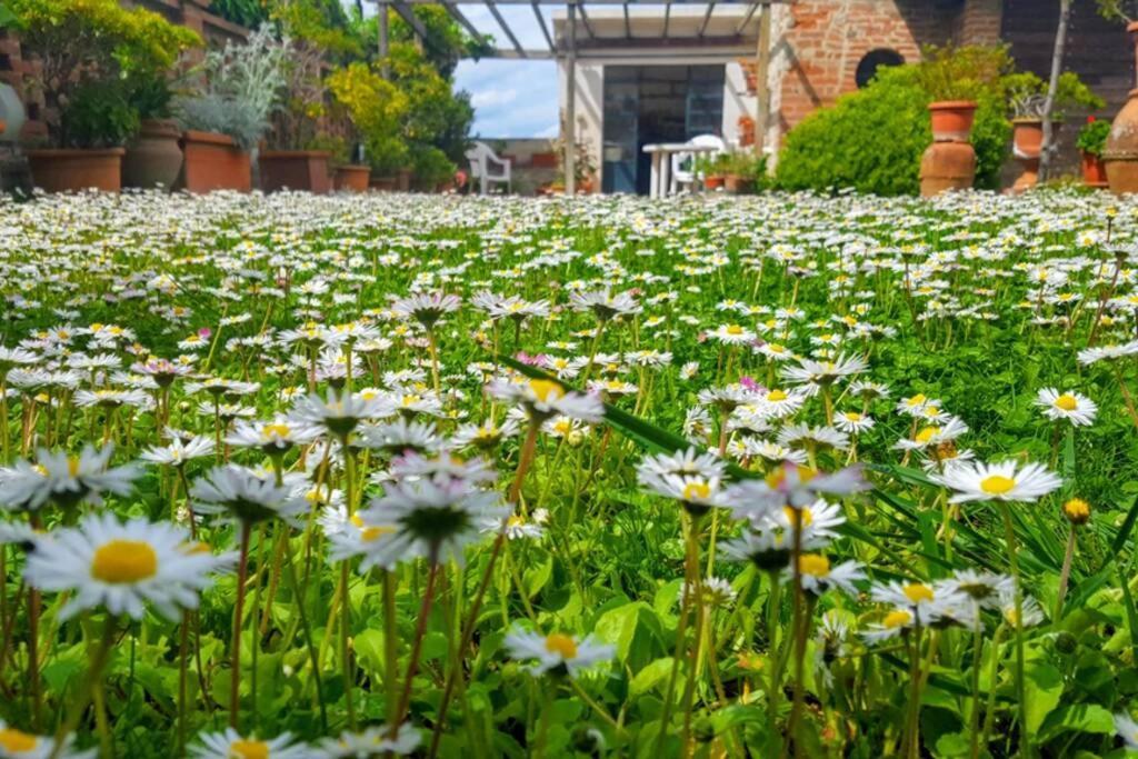 Appartamento Bellavista la tua romantica vacanza sul Trasimeno Castiglione del Lago Esterno foto