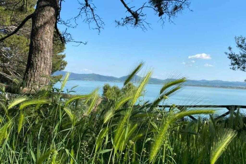 Appartamento Bellavista la tua romantica vacanza sul Trasimeno Castiglione del Lago Esterno foto