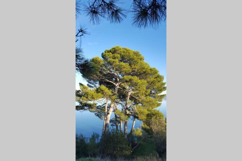 Appartamento Bellavista la tua romantica vacanza sul Trasimeno Castiglione del Lago Esterno foto