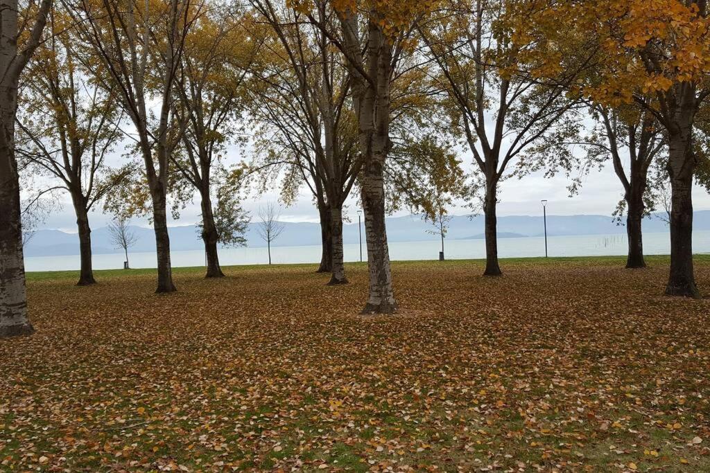 Appartamento Bellavista la tua romantica vacanza sul Trasimeno Castiglione del Lago Esterno foto