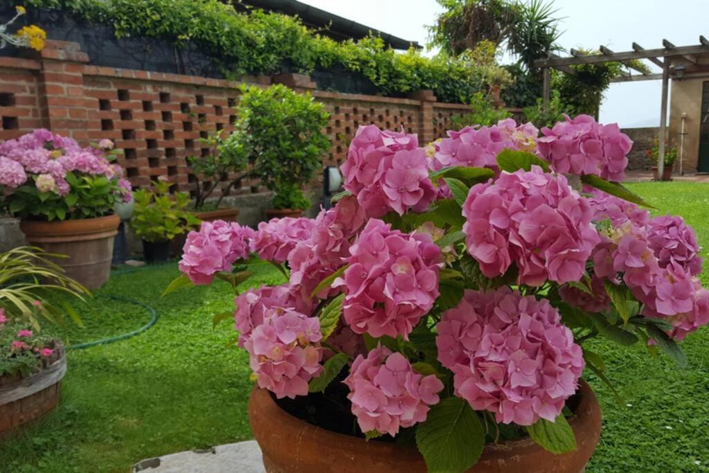 Appartamento Bellavista la tua romantica vacanza sul Trasimeno Castiglione del Lago Esterno foto