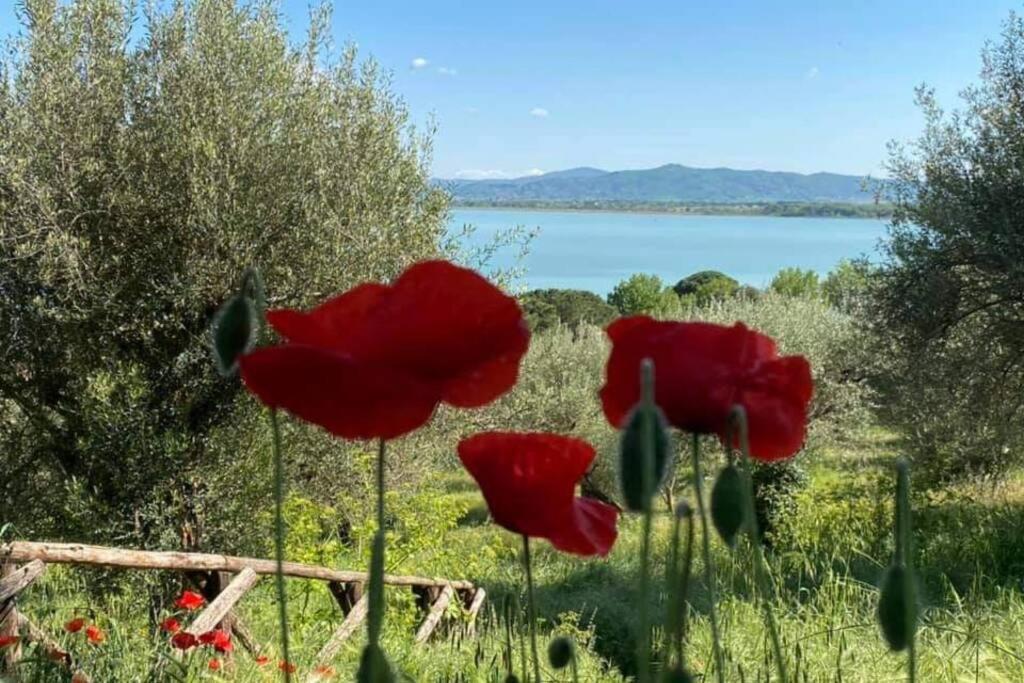 Appartamento Bellavista la tua romantica vacanza sul Trasimeno Castiglione del Lago Esterno foto