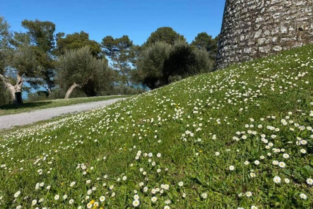 Appartamento Bellavista la tua romantica vacanza sul Trasimeno Castiglione del Lago Esterno foto