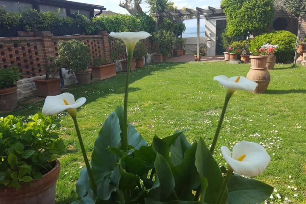 Bellavista la tua romantica vacanza sul Trasimeno Castiglione del Lago Esterno foto