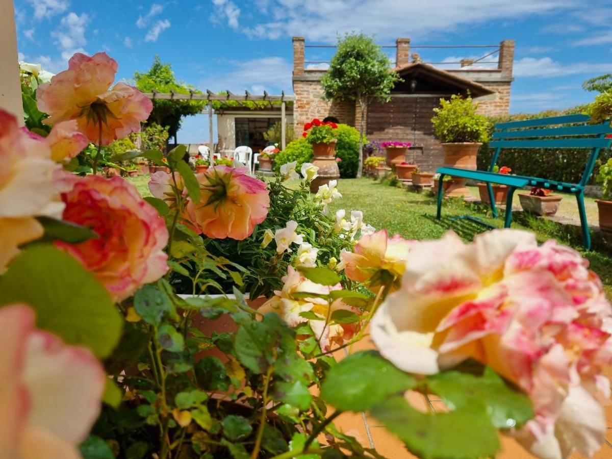 Appartamento Bellavista la tua romantica vacanza sul Trasimeno Castiglione del Lago Esterno foto